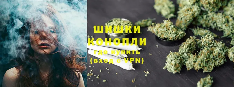 площадка наркотические препараты  где купить   Ставрополь  Конопля OG Kush 